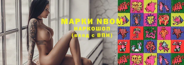 мяу мяу мука Баксан