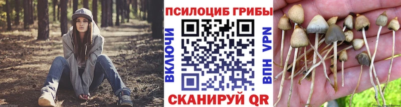 хочу гидра Галлюциногенные грибы ЛСД Кремёнки